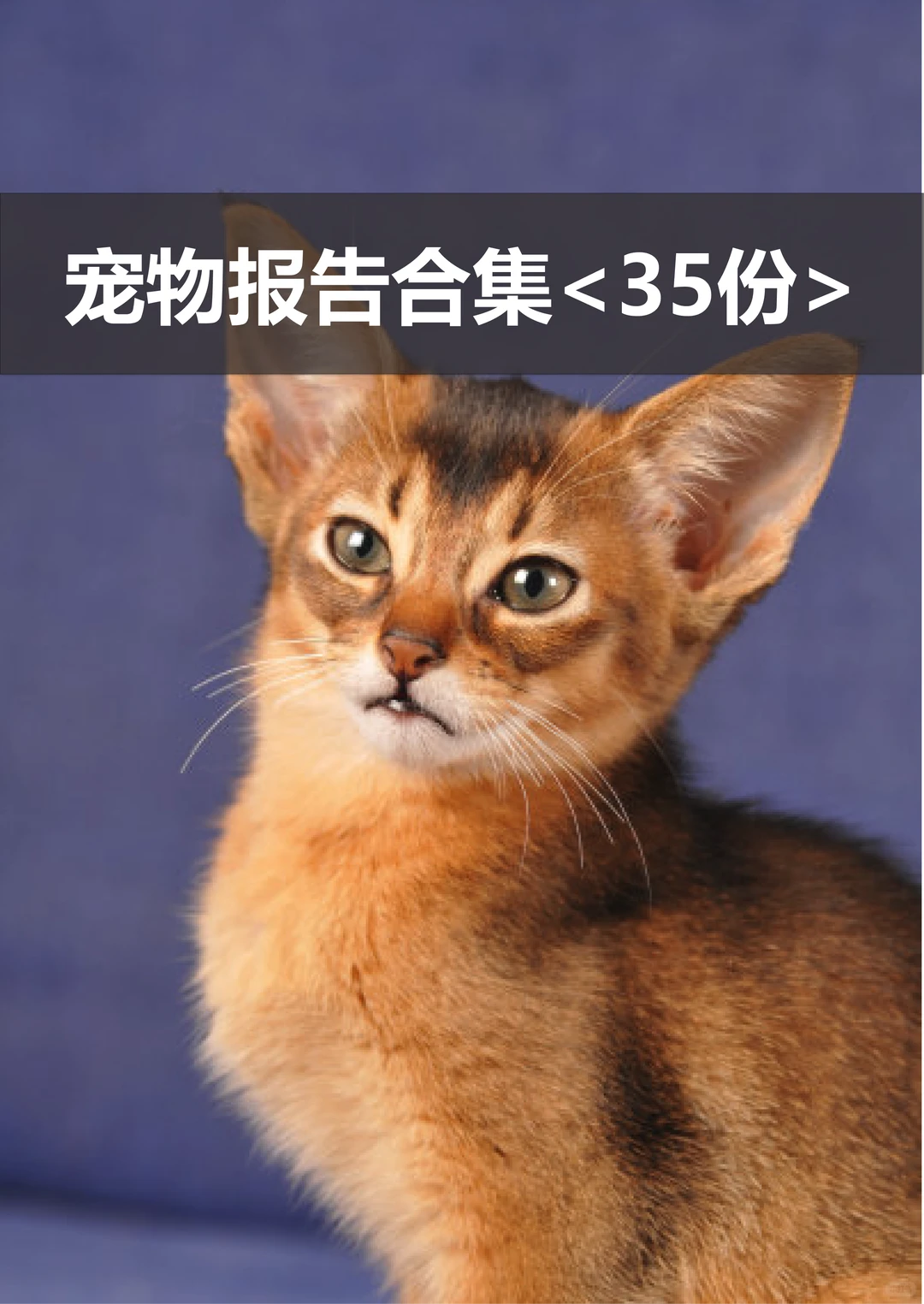 宠物行业报告合集✅超全吐血整理