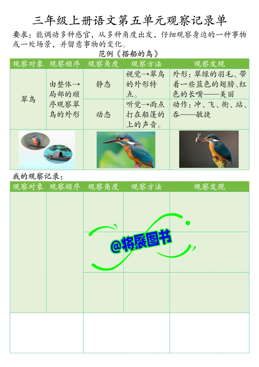 被问爆❗️三年级上册语文第五单元观察记录