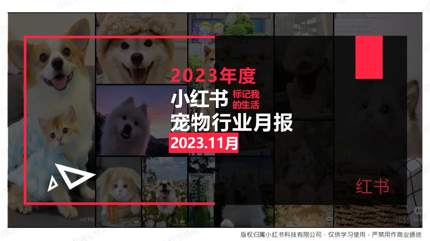 重磅合集:小红书18个行业洞察月报-11月