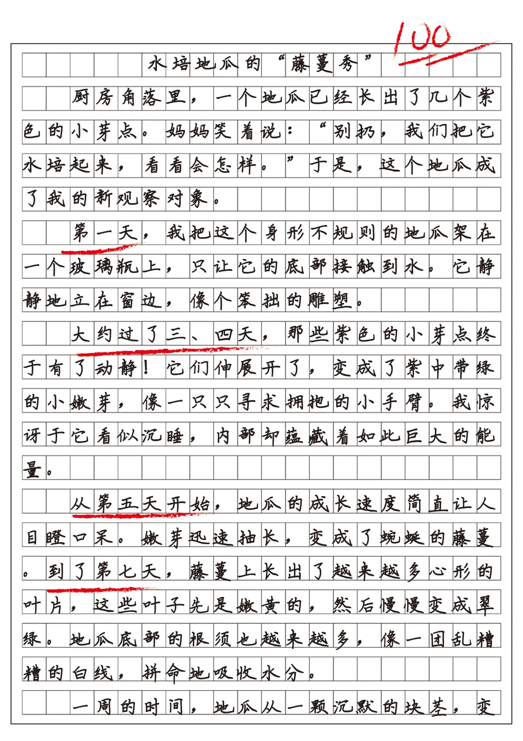四上习作三观察日记范文