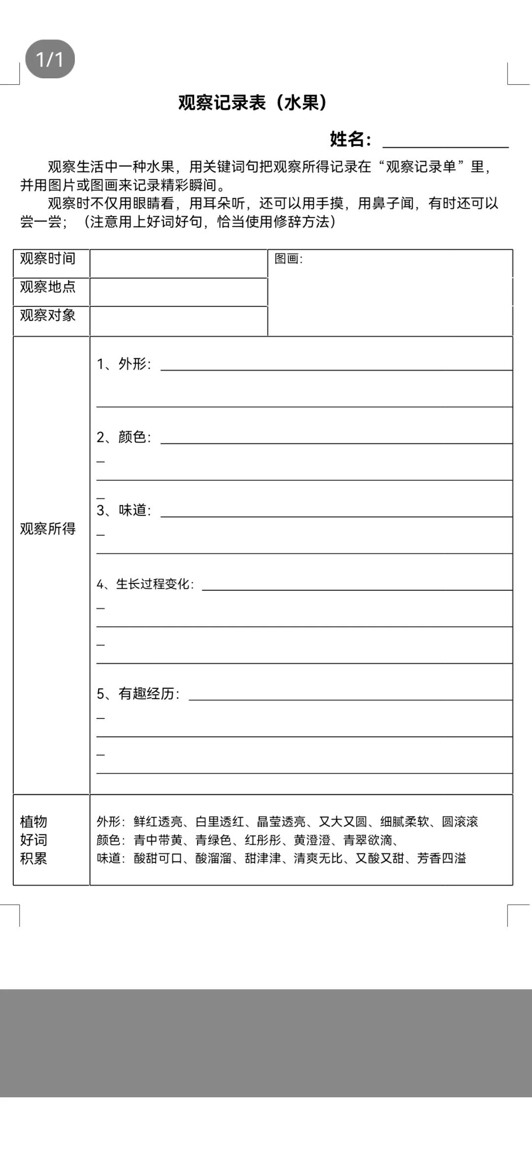 三年级上册语文第五单元观察记录表