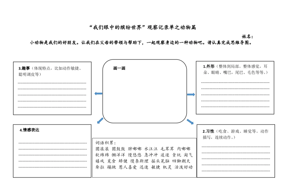 三上第五单元观察记录单