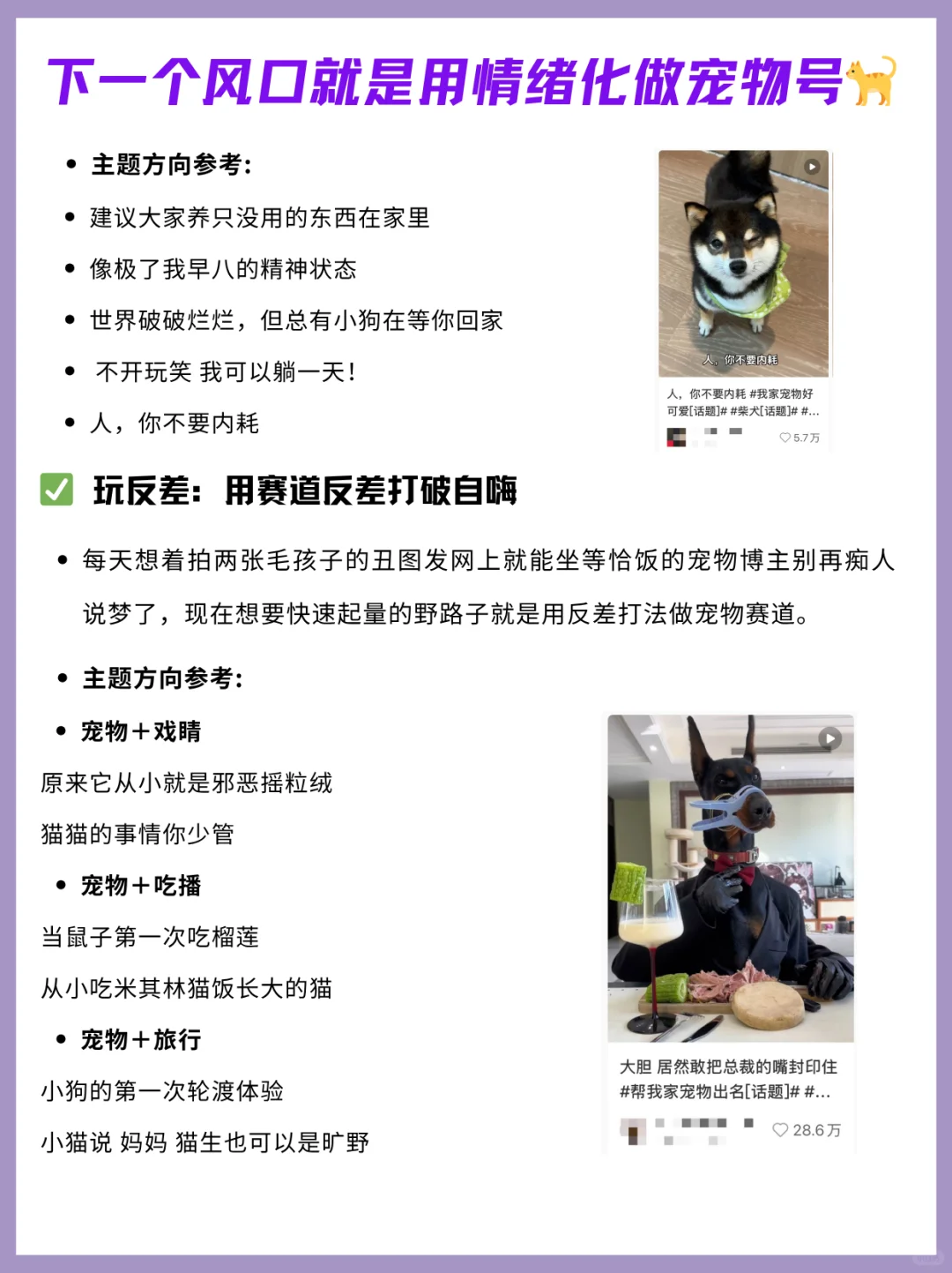 下一个风口就是用情绪化做宠物号?