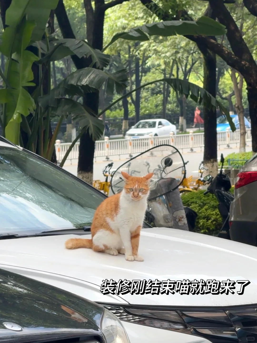 在家乡开个小店，卖温暖的食物