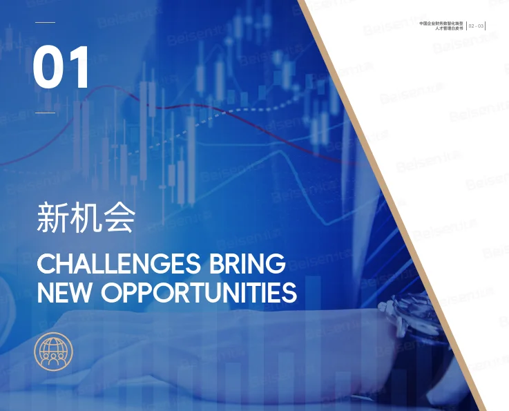 2024年中国企业财务数智化