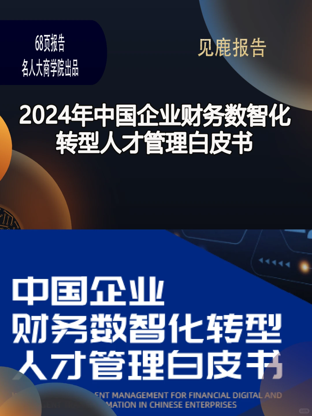 2024年中国企业财务数智化
