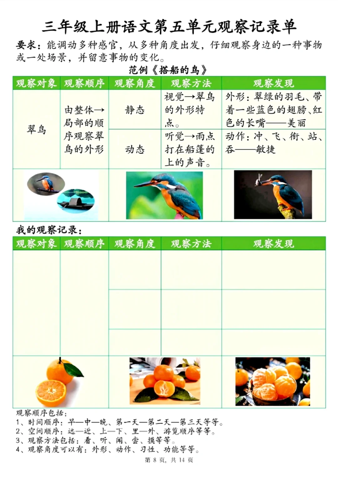 三年级语文上册第五单元观察记录单