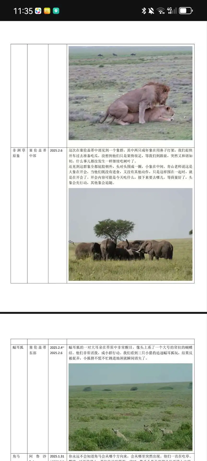 研学报告