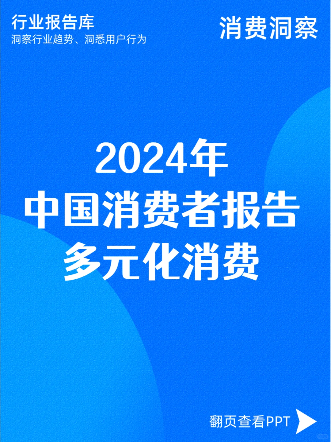 2024年中国消费者报告:多元化消费