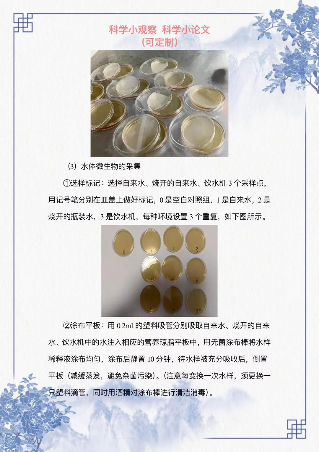 姐妹们，看过来这篇科学观察小报告写的太好