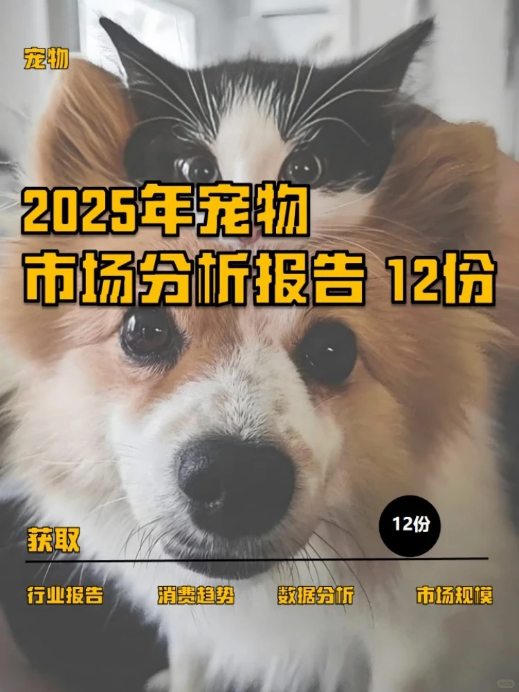 2025年宠物市场分析报告(20份)