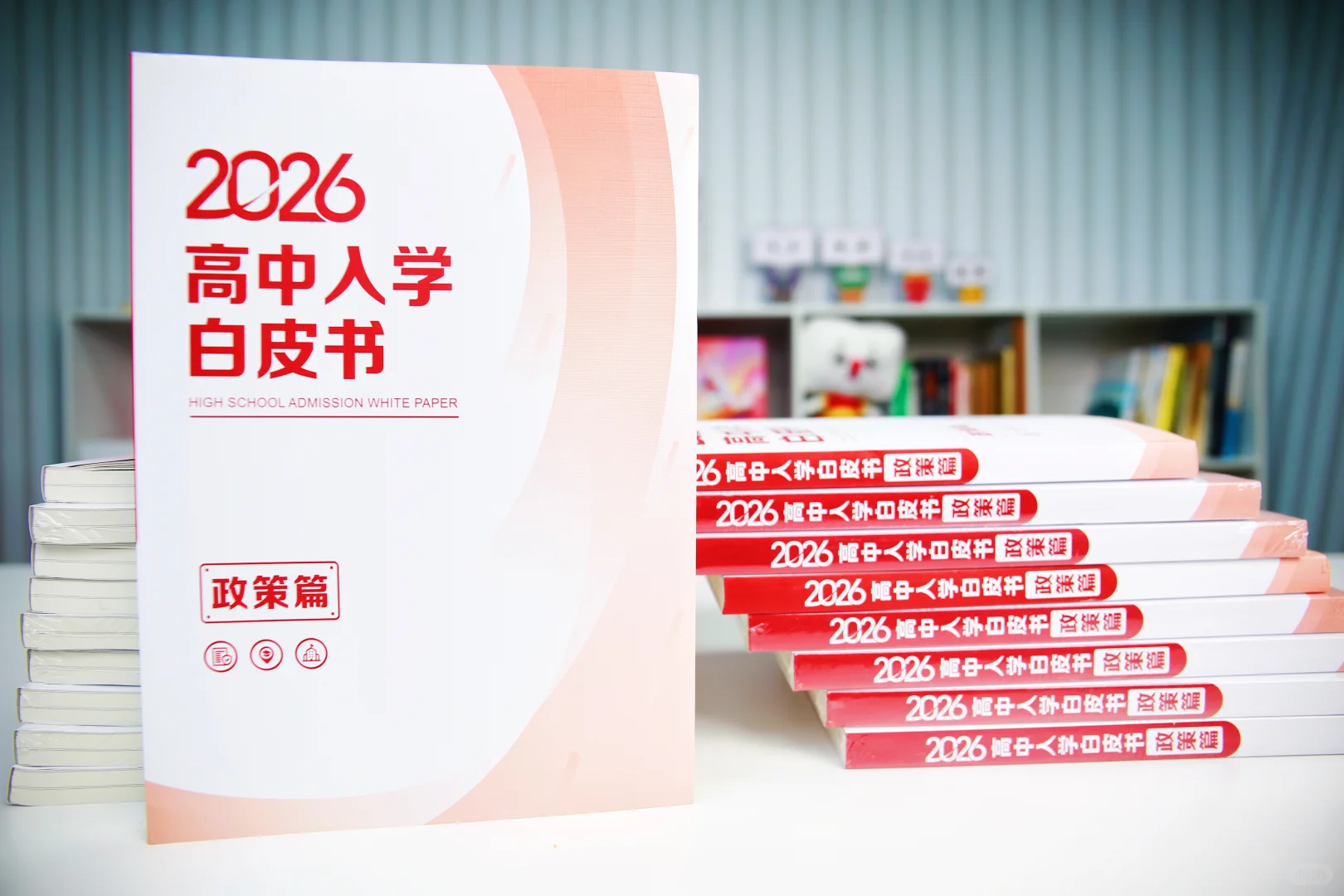 政策白皮书