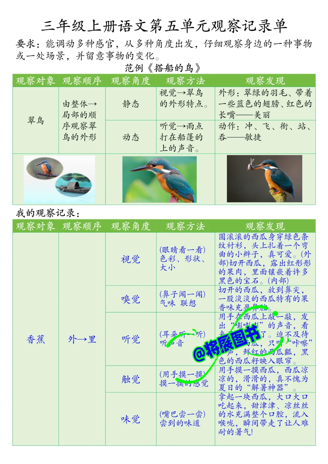 被问爆❗️三年级上册语文第五单元观察记录