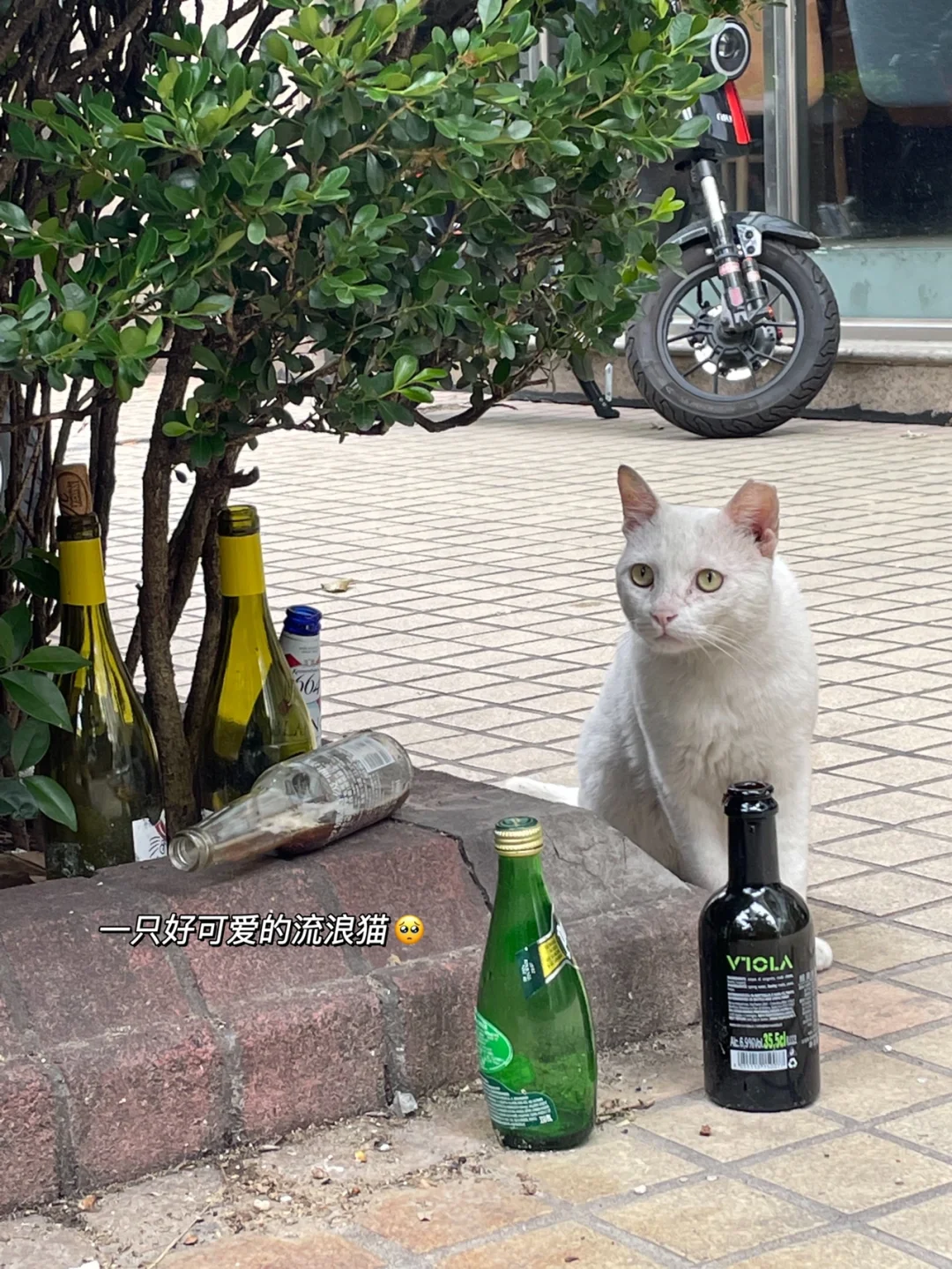 咨询人Plog|战略咨询的思维模式是什么样?