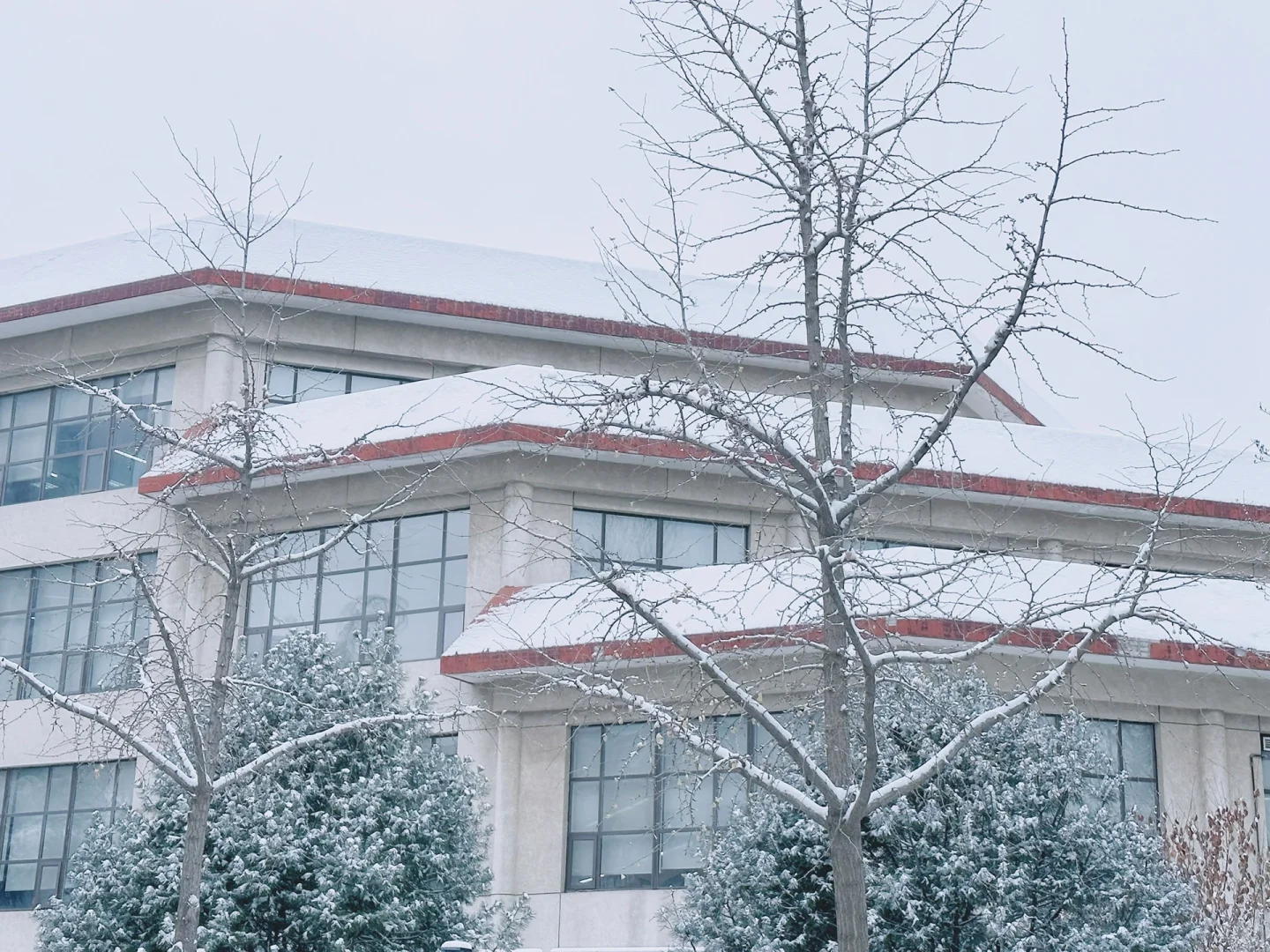 法大的第一场雪❄️