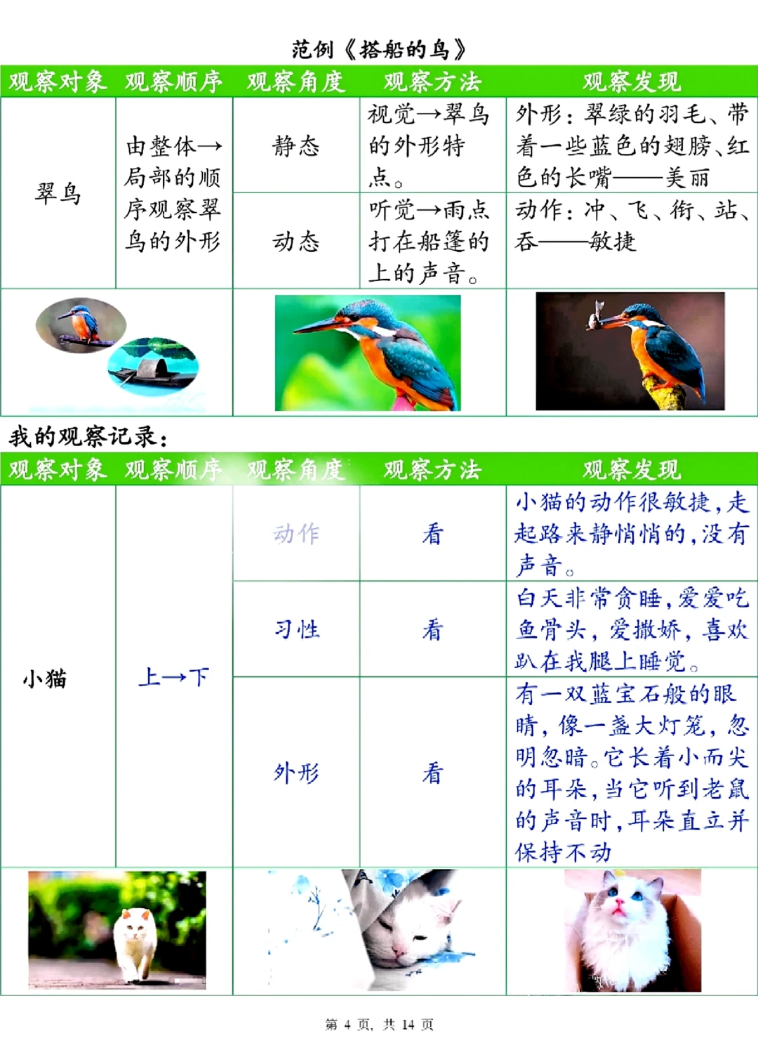三年级语文上册第五单元观察记录单