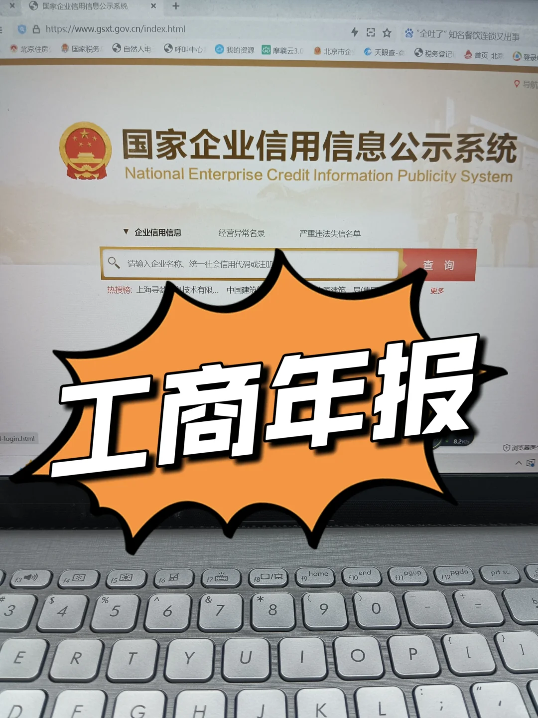 工商年报 保姆式教程