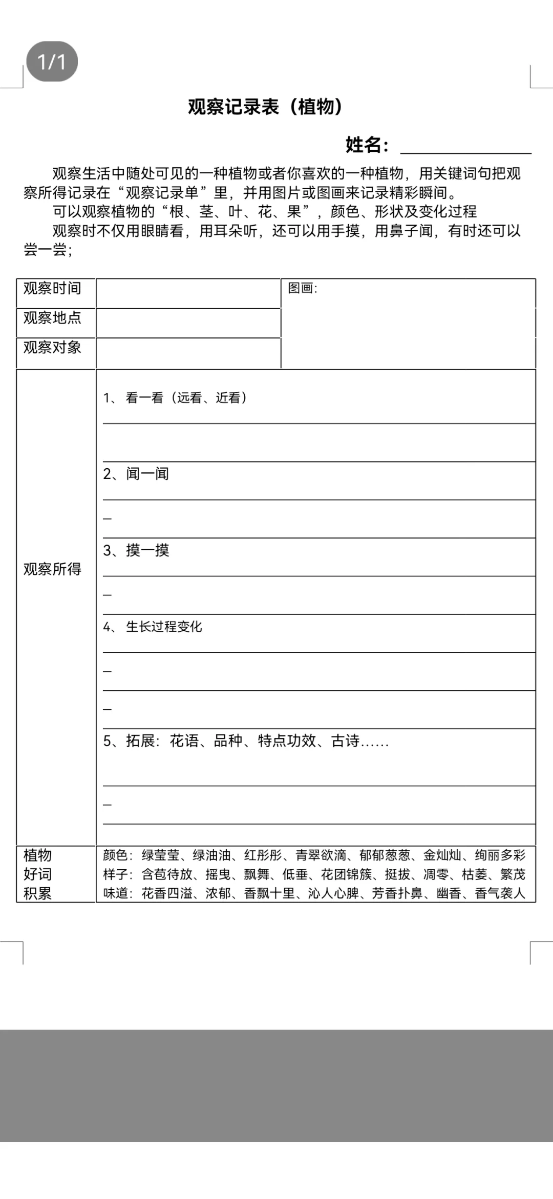 三年级上册语文第五单元观察记录表