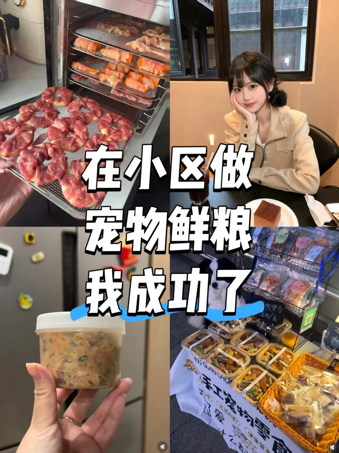 在小区做宠物鲜食,我成功了