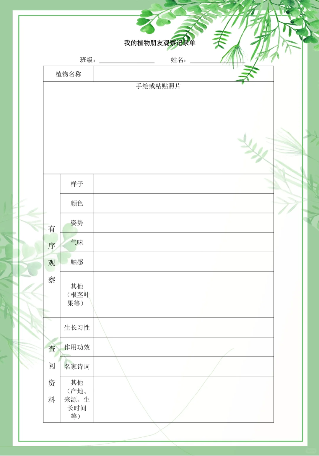 三下习作一：我的植物朋友（观察记录单）