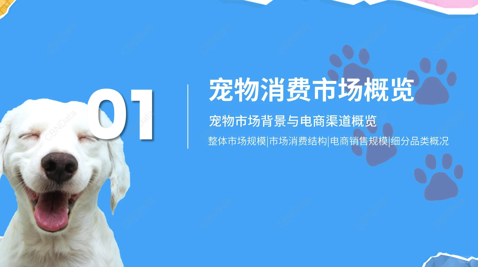 2025宠物电商行业报告-1
