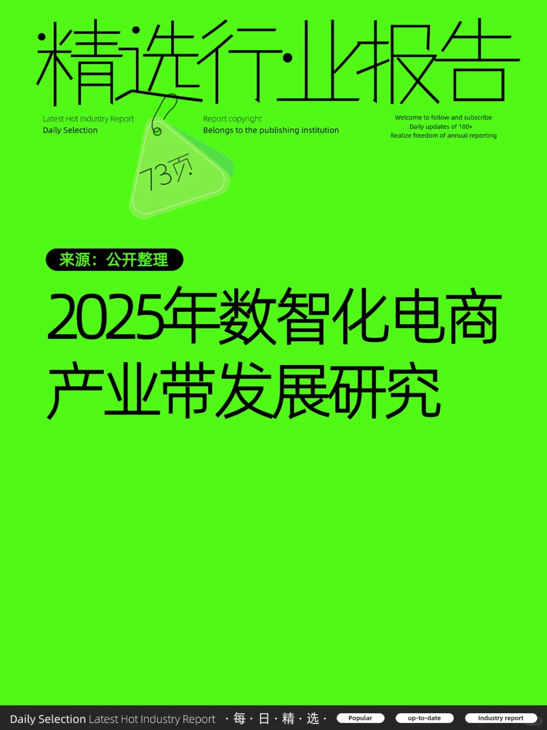 2025年数智化电商产业带发展研究报告