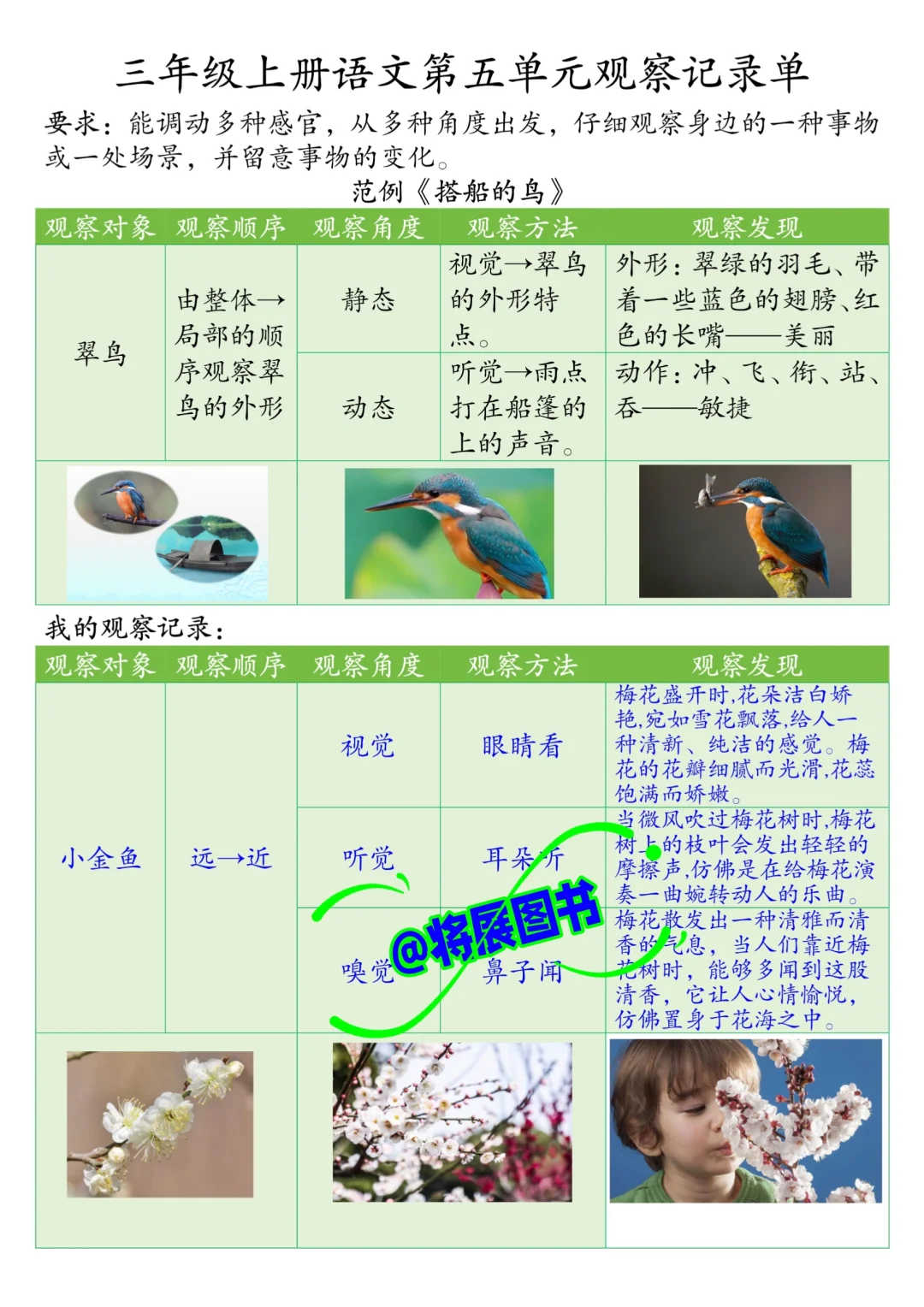 被问爆❗️三年级上册语文第五单元观察记录