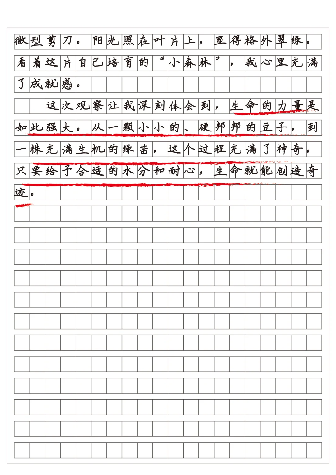 四上习作三观察日记范文
