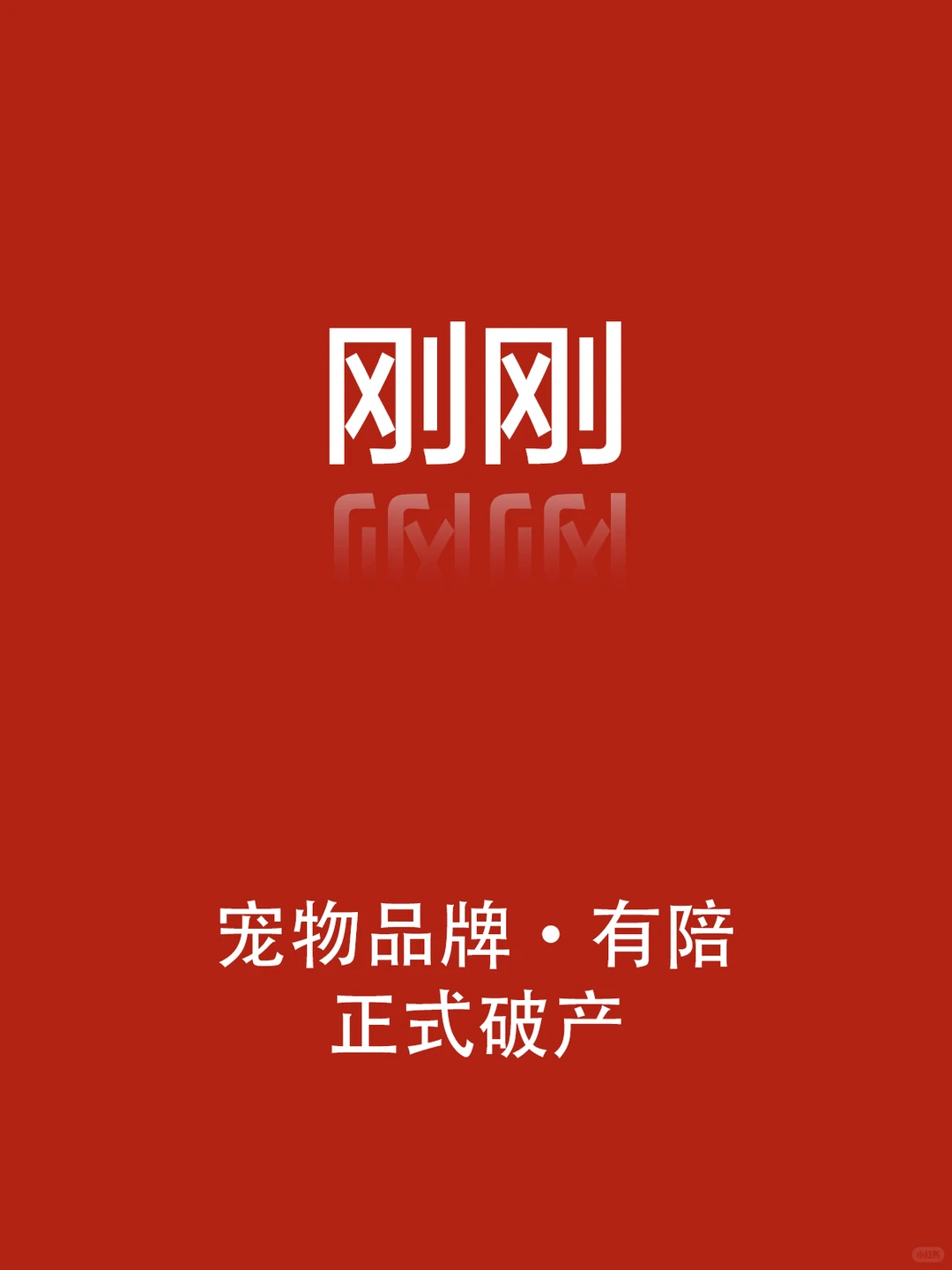 刚刚，宠物圈最惨创业正式破产