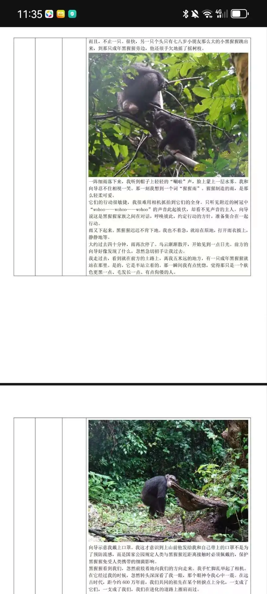 研学报告