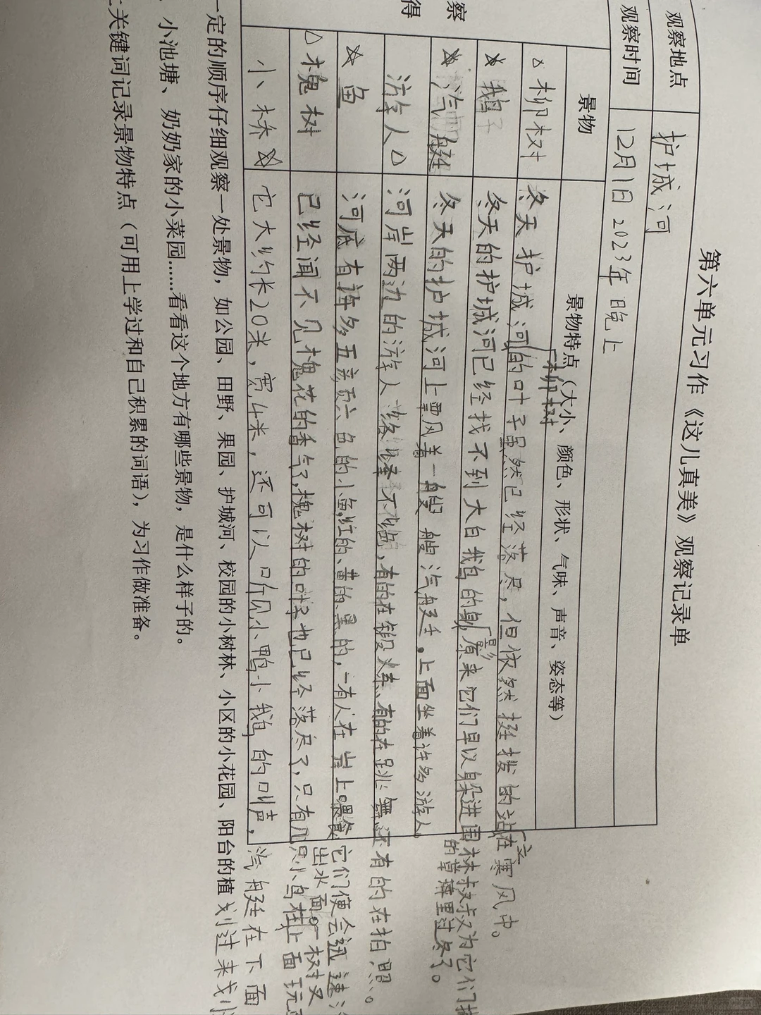 三上第六单元习作