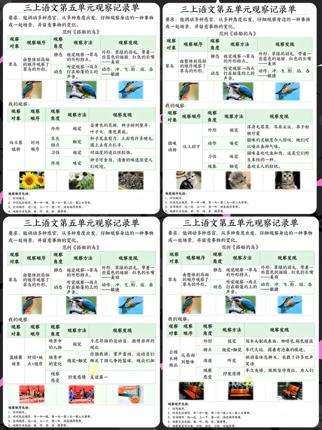 三年级语文上册?【观察记录单】