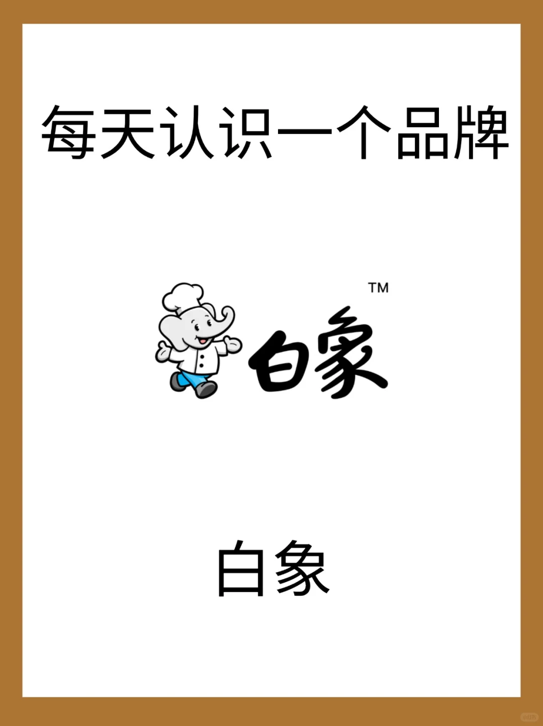 每天认识一个新品牌|白象