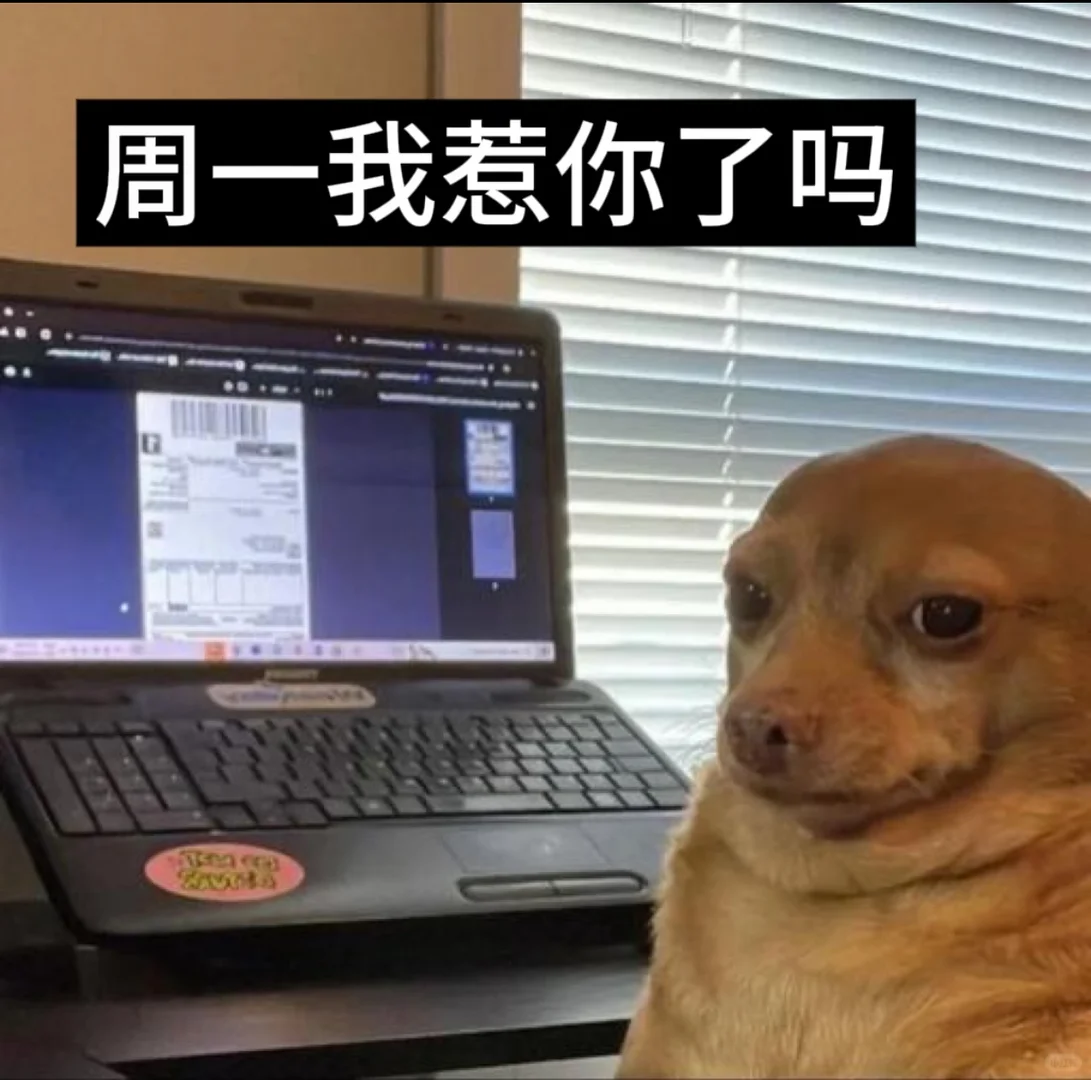 给自己招实习生 帮同事招正职?