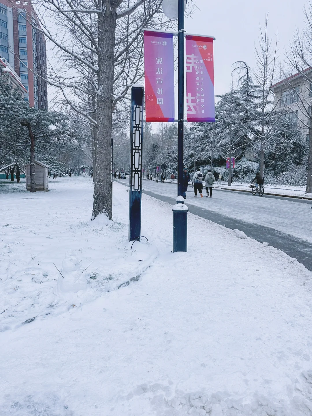 法大的第一场雪❄️