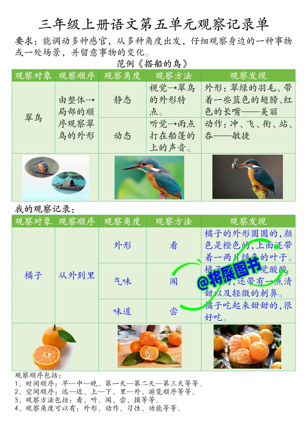 被问爆❗️三年级上册语文第五单元观察记录
