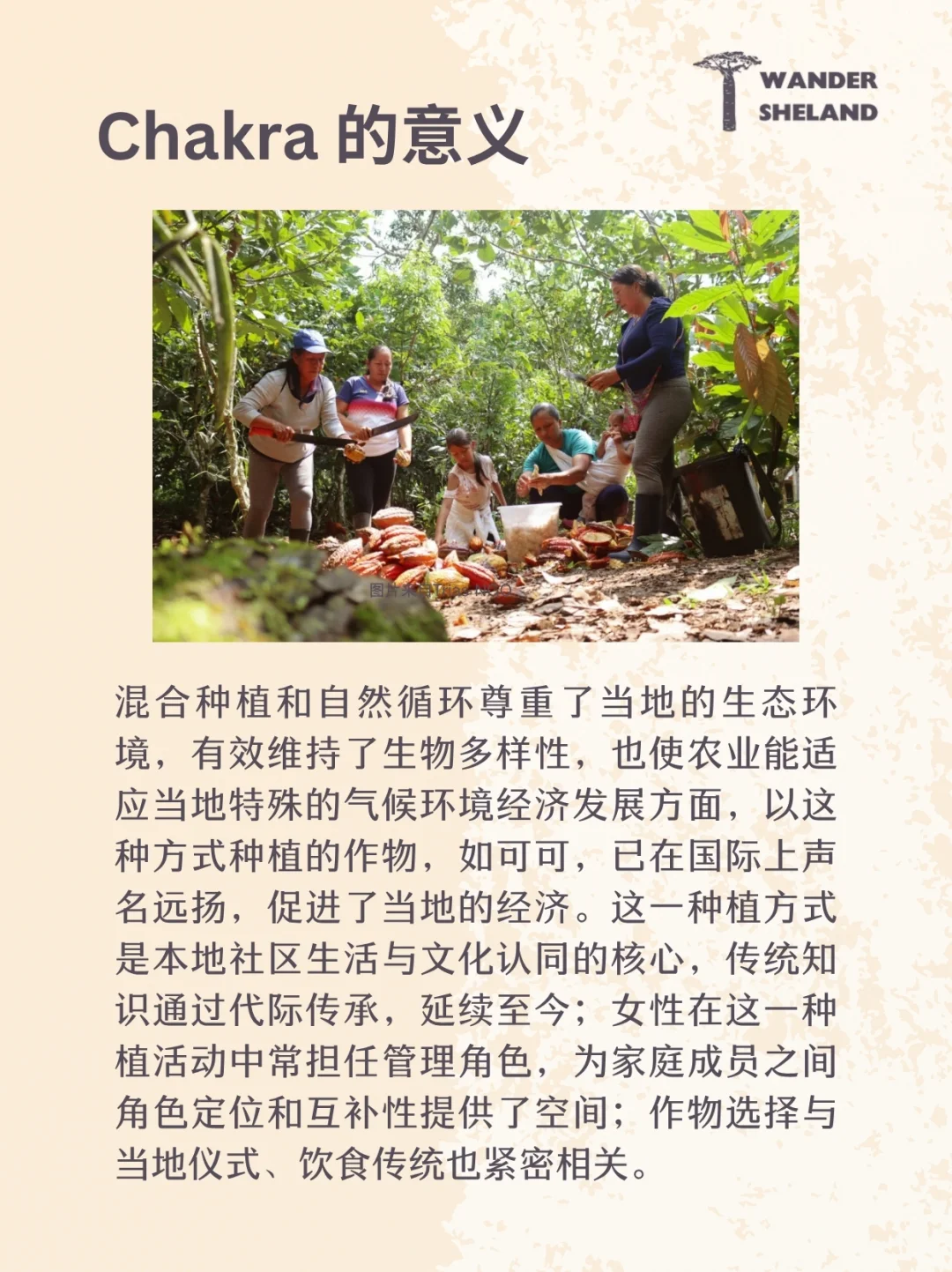 可持续农业指南 ? ? ?