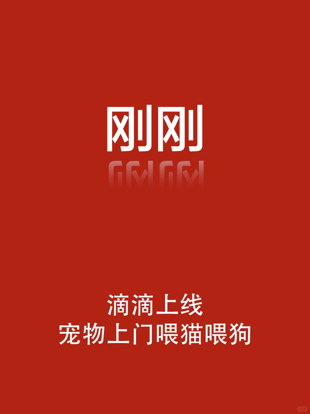 刚刚，又一大厂盯上宠物经济了