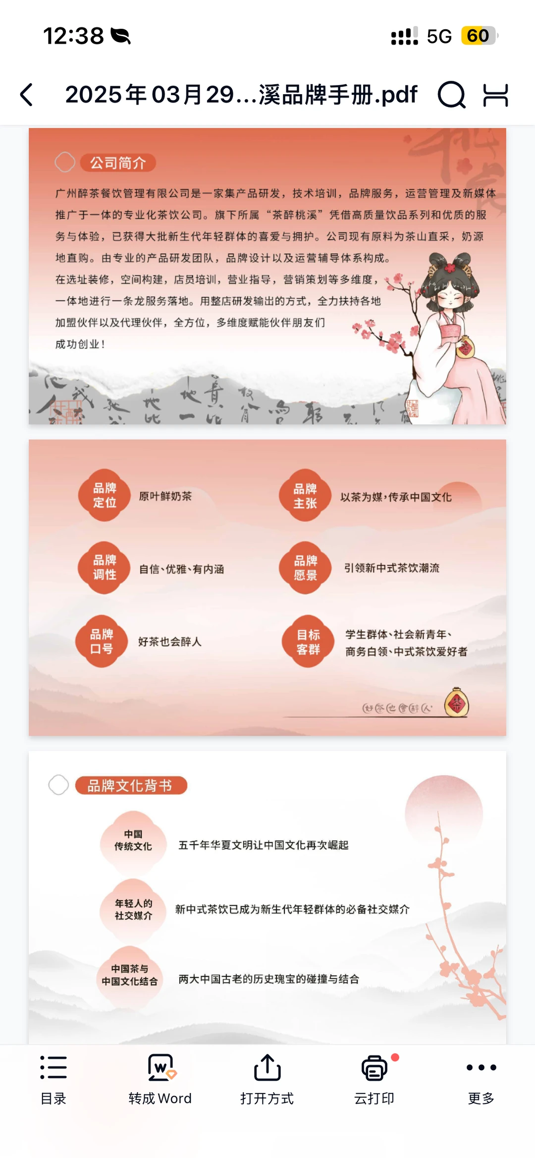 茶醉桃溪品牌手册