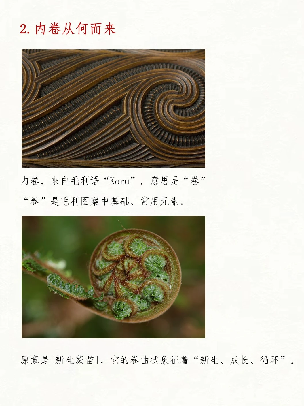 花知晓,不内卷。