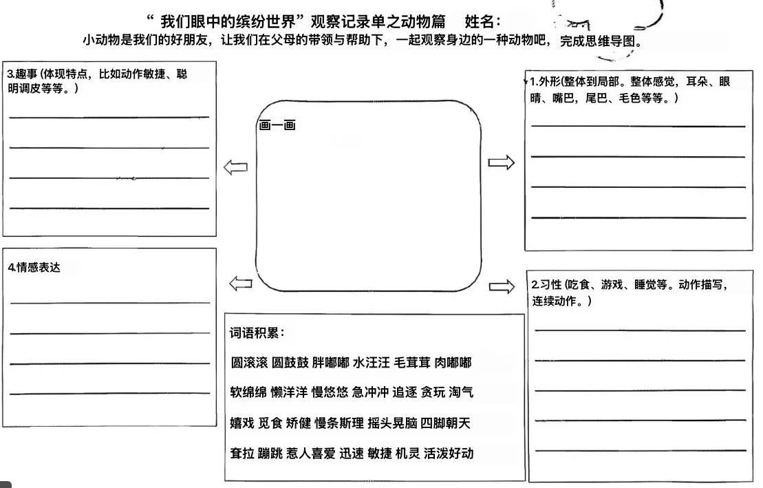 “我们眼中的缤纷世界”观察记录单