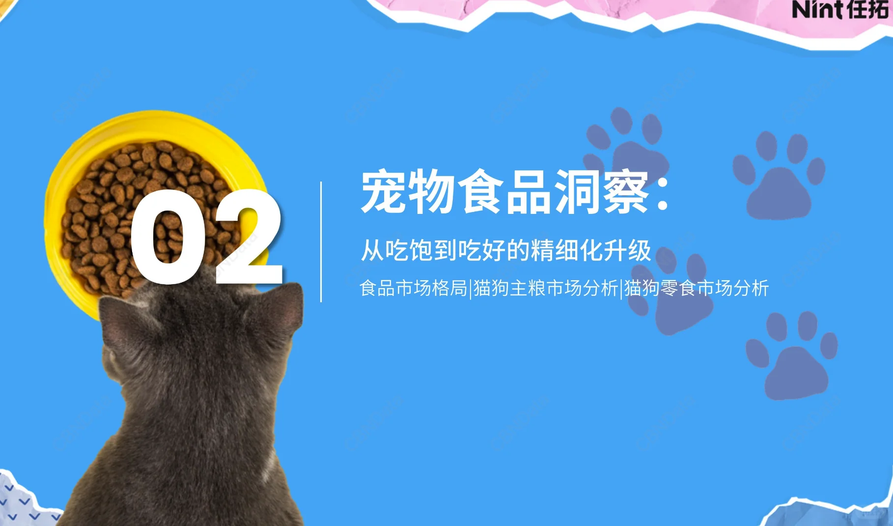 2025宠物电商行业报告-1