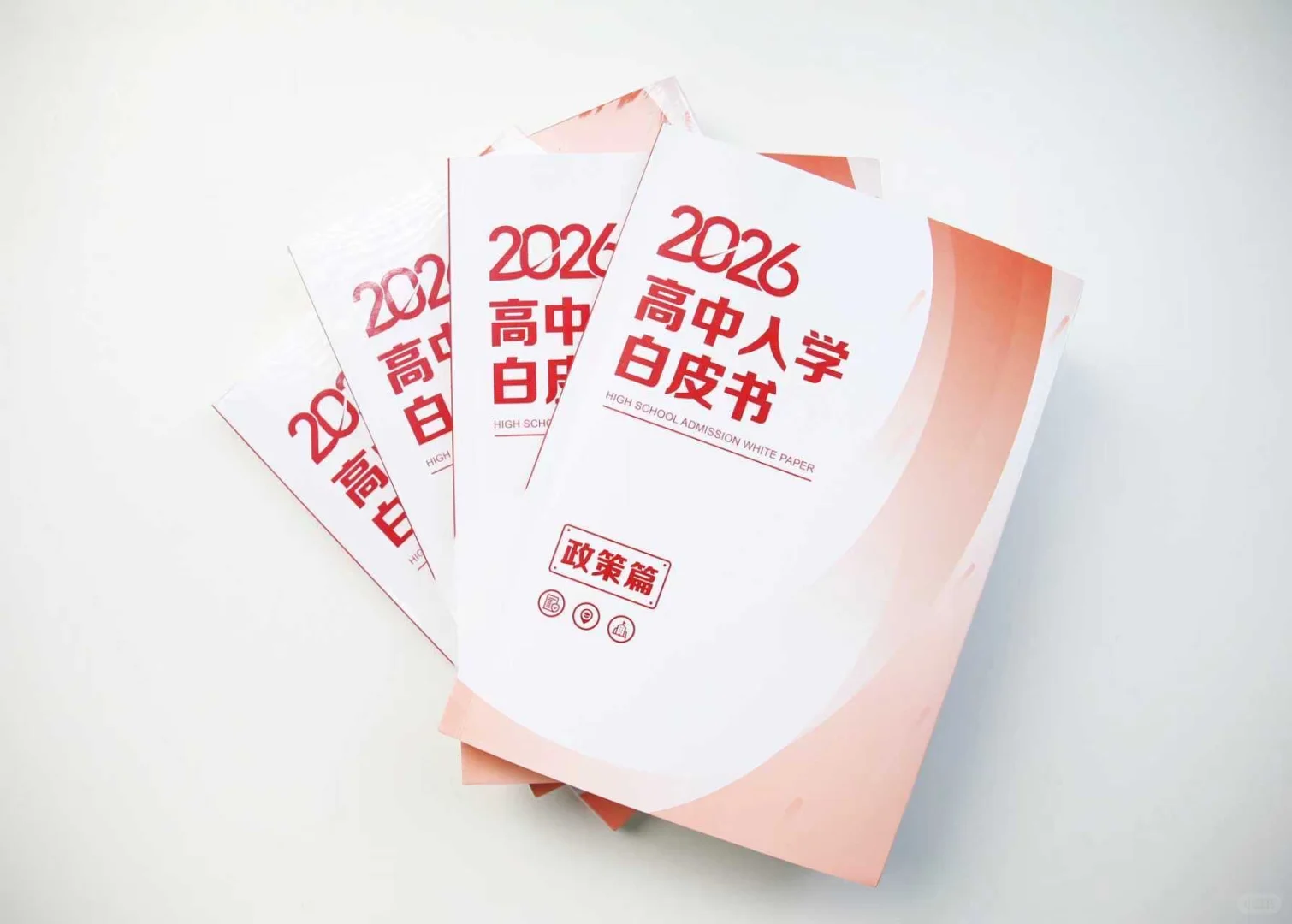 政策白皮书
