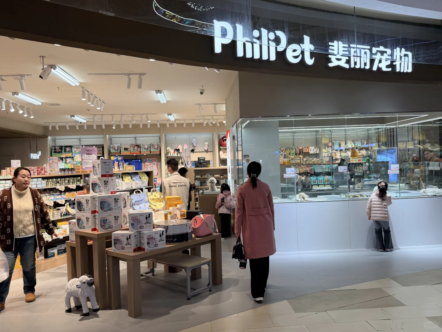 泰达生活馆新开的宠物店