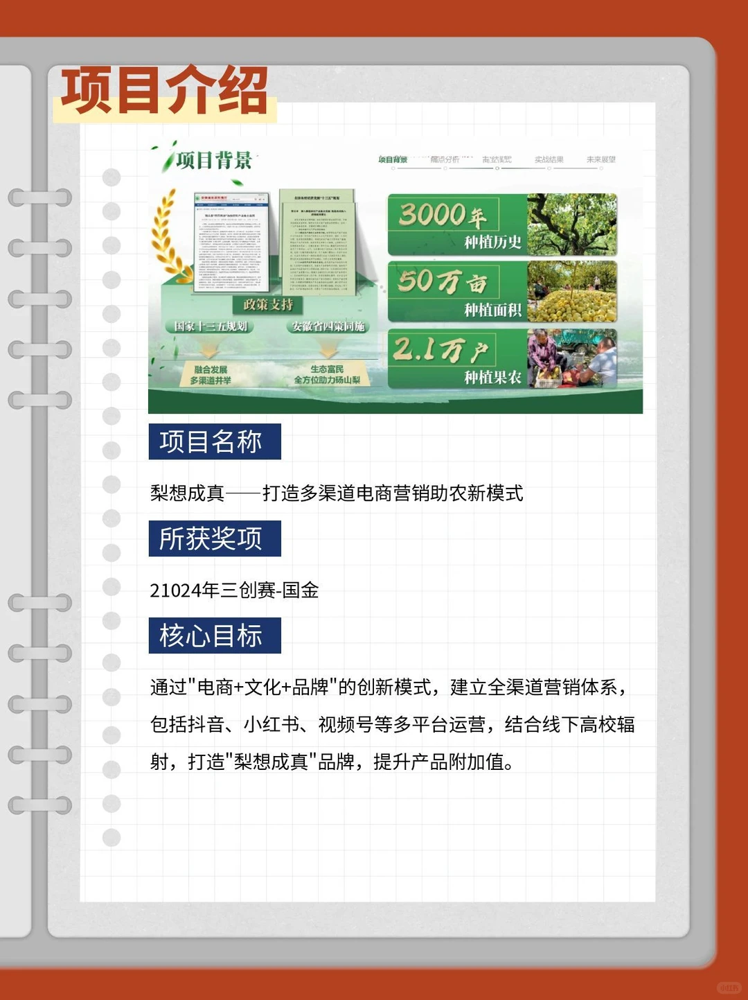 三创赛乡村振兴赛道国金作品解析
