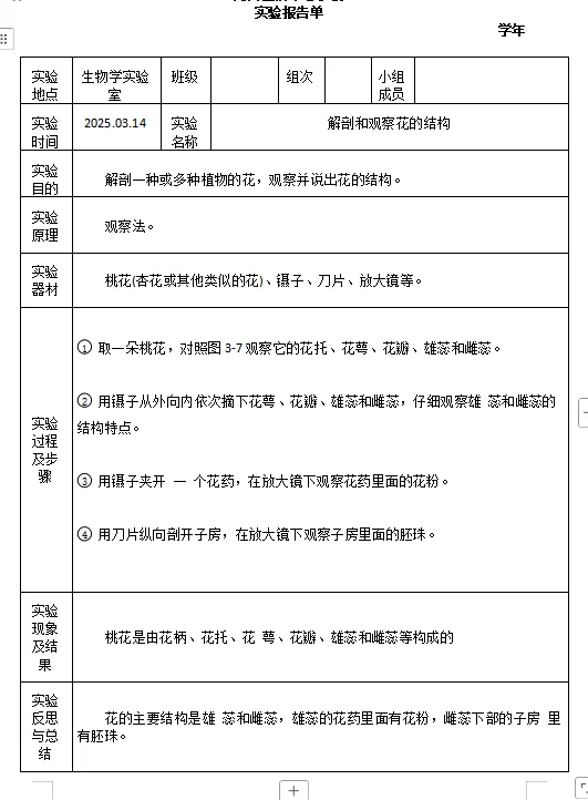 实验报告合集
