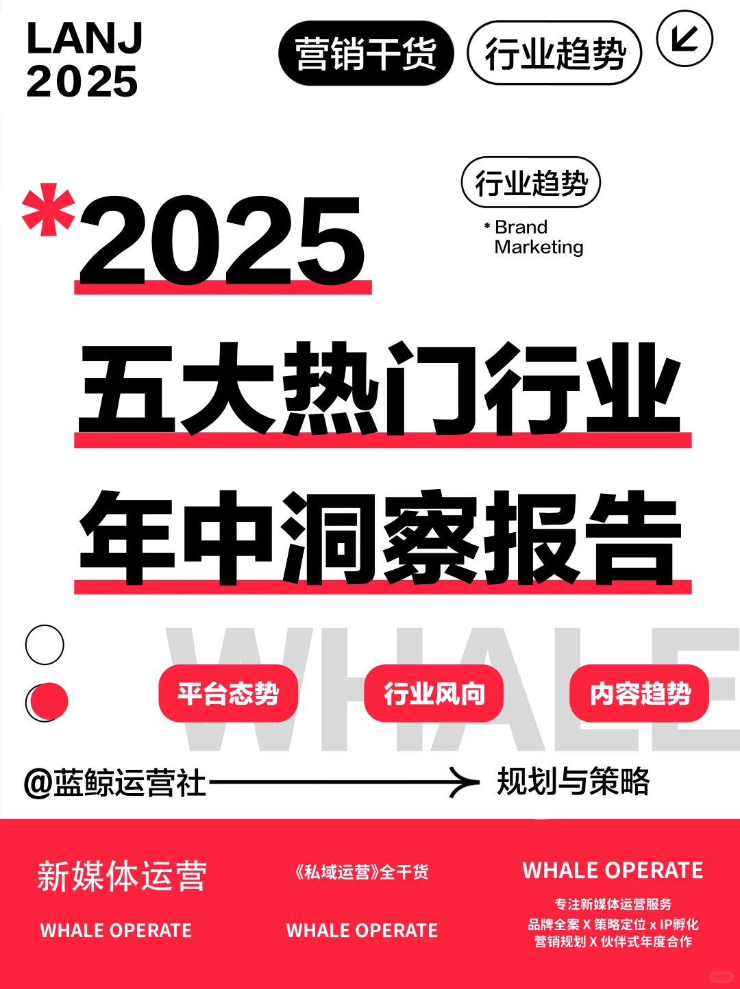 年中报告|2025小红书热门行业数据洞察
