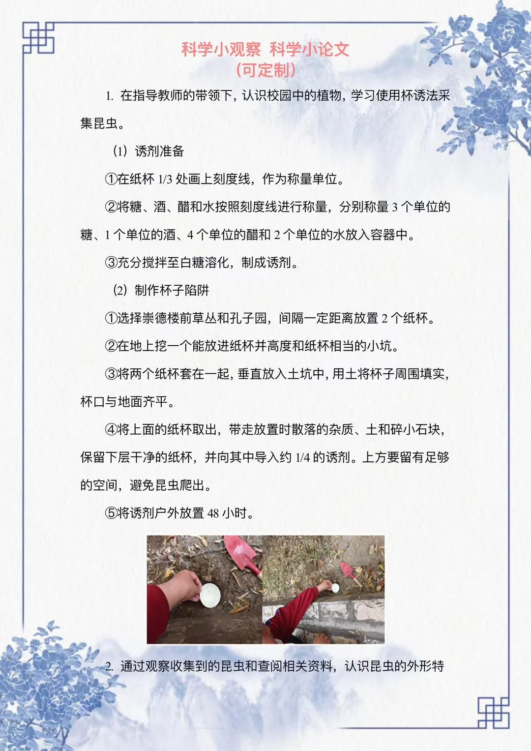 姐妹们，看过来这篇科学观察小报告写的太好
