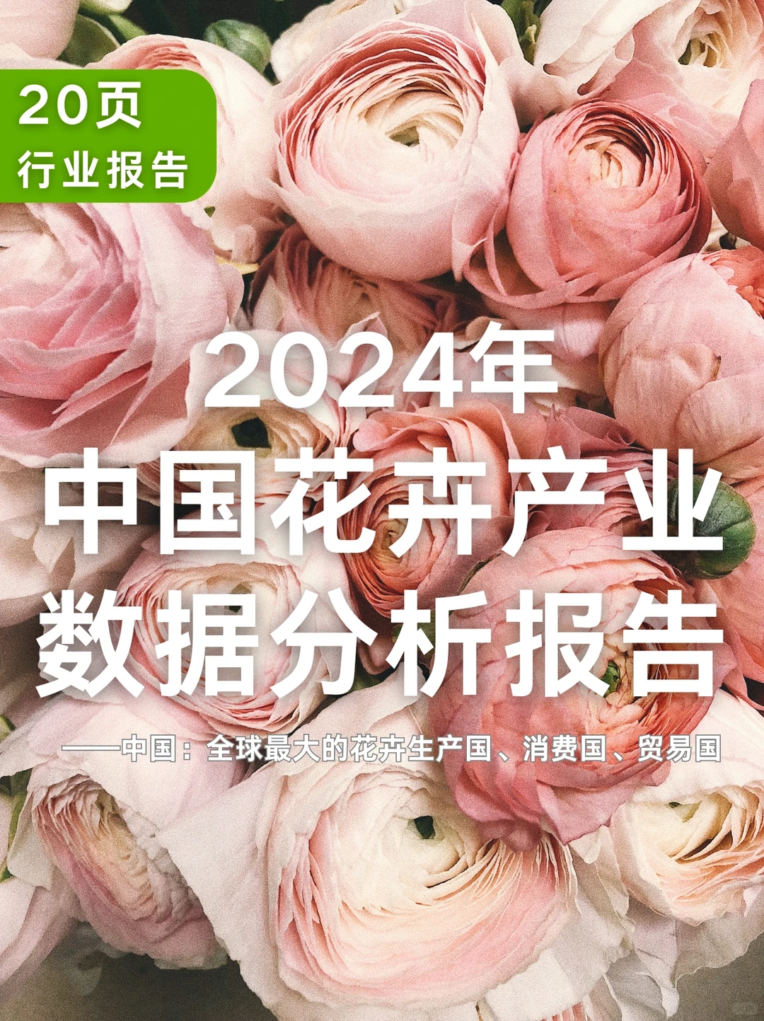 20页行业报告|2024年中国花卉产业报告