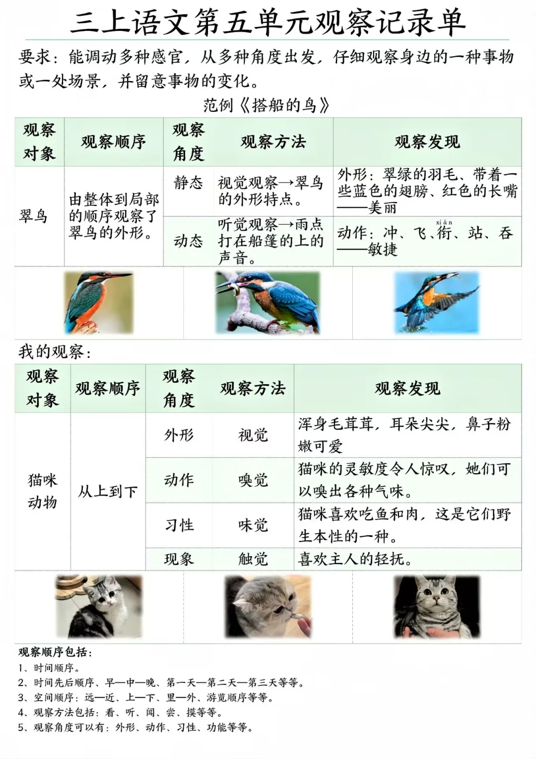 三年级语文上册?【观察记录单】